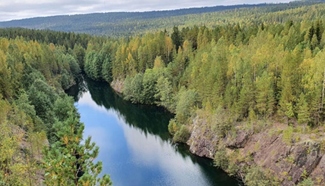 Höga halter av kritiska råvaror som sällsynta jordartsmetaller, fosfor och volfram har hittats i gammalt gruvavfall i Bergslagen. Foto: Patrick Casey/SGU