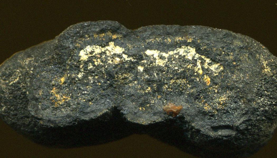 Polymetallisk nodul av mangan på havsbotten. Foto:  James St. John/https://www.flickr.com/photos/jsjgeology/Wikimedia Commons