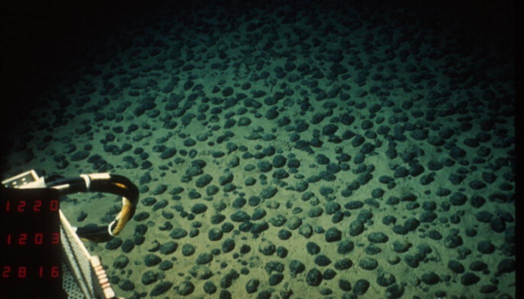 Polymetalliska noduler på havsbotten i Stilla havet. Foto: Philweb/WIkimedia Commons