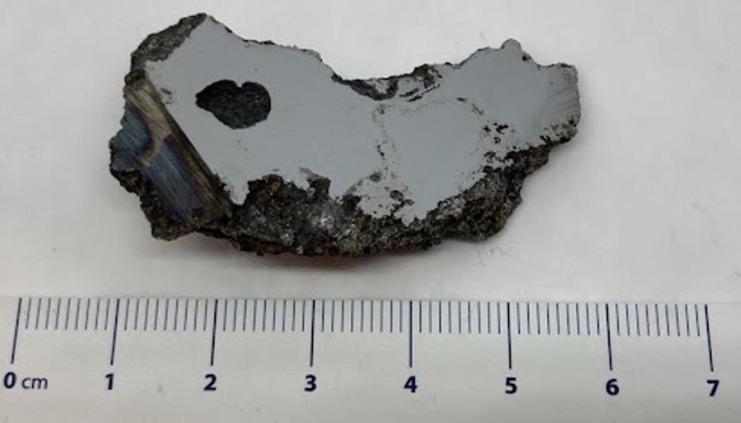 Prov av El Ali-meteoriten. Foto: University of Alberta