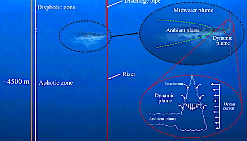 Schematisk bild av en gruvoperation för polymetalliska noduler. Från topp till botten visar de tre inzoomade panelerna ytfartyget, sedimentplymen i vattenmassan samt nodulinsamlaren som arbetar på havsbotten. Plymen i vattenmassan består av två steg:
(i) den dynamiska plymen, där sedimentrikt utsläppsvatten snabbt sjunker och späds ut till en nivå med neutral flytkraft, samt (ii) den efterföljande omgivande plymen som förs med havsströmmar och påverkas av bakgrundsturbulens och sedimentation. Bild: Wikipedia Commons Lic, kredit: Carlos Muñoz-Royo 