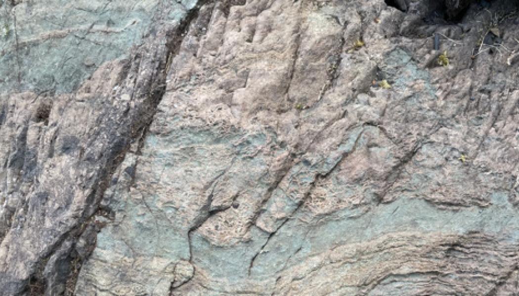Skarnjärnmalm. Foto: Stefan Andersson/SGU