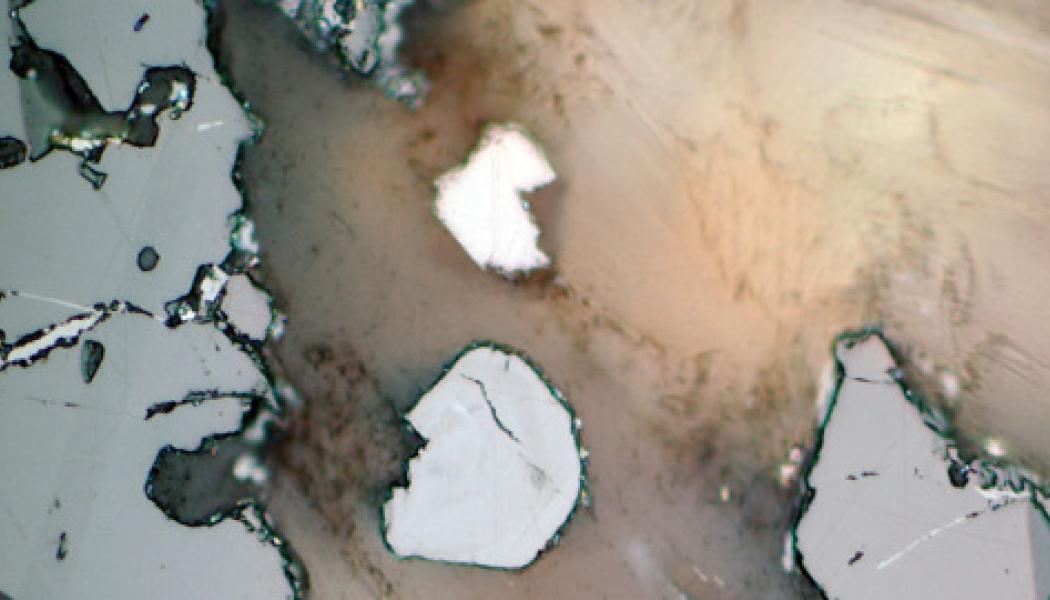 Den något ljusare kristallen som kan ses mitt i bild är skogbyit. Bild tagen i planpolariserat ljus. Kristallen är cirka 50 mikrometer i diameter. Foto: Erik Jonsson, SGU