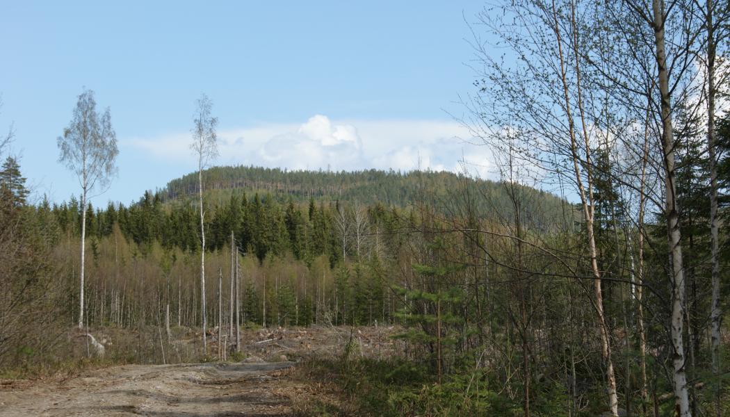Foto: Svenska Vanadin