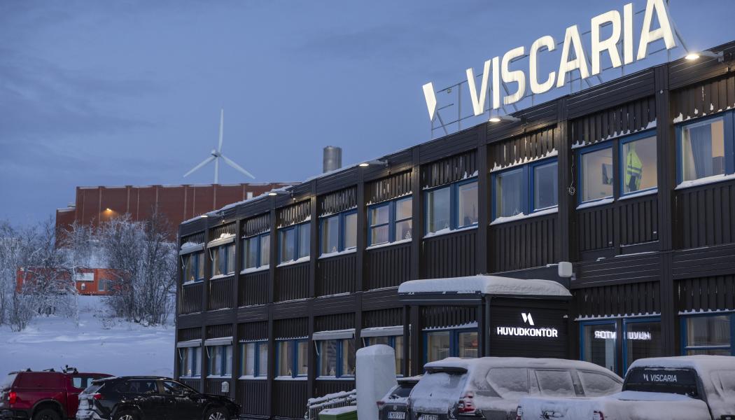 Foto: Viscaria