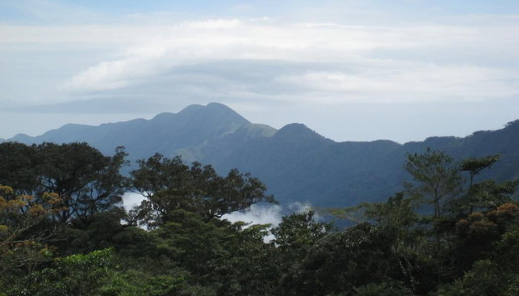 Nimba-massivet ligger i gränstrakterna mellan Guinea, Liberia och Elfenbenskusten. Foto: Yakoo1986/Wikimedia Commons