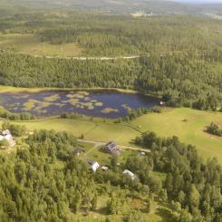 Det är i princip bara Sverige och Finland som har storskaligt skogsbruk i Europa.