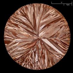 Foto: Alchemist-hp/pse-mendelejew.de/Wikimedia Commons