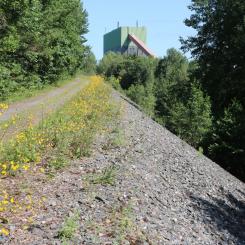 Foto: Grängesberg Exploration