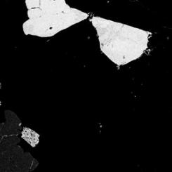 Åsgruvanit-(Ce) – ett nyupptäckt mineral som är rikt på sällsynta jordartsmetaller, här som ett vitflammigt fjärilsliknande kristallaggregat i en bild tagen med svepelektronmikroskop. Fyndplatsen är Åsgruvan vid Norberg i Bergslagen. Foto: Erik Jonsson, SGU.