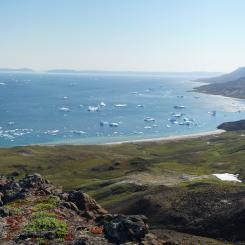 Foto: Bluejay Mining