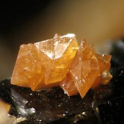 Foto: Christian Rewitzer/Wikimedia Commons