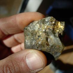 Guld på kvarts från Småland. Foto: Erik Jonsson/SGU