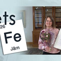 Amerikanskt kärnkraftverk. Foto: Nuclear Regulatory Commission/Wikimedia Commons