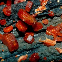 Vanadinit. Foto: Géry Parent/Wikimedia Commons