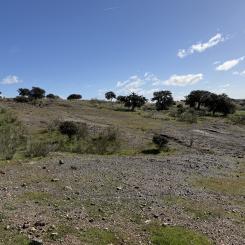 De nya fynden av bronsåldersgruvor förändrar vår förståelse av hur sammanlänkat Europa var redan för 3 000 år sedan, enligt studien. Foto: Johan Ling/Göteborgs univsersitet