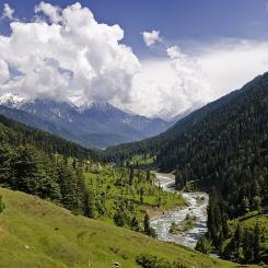 Kashmir. Foto: KennyOMG/Wikimedia Commons
