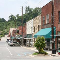 Spruce Pine. Foto: Kubigula/WIkimedia Commons