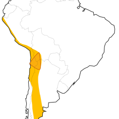 Det gula fältet visar litiumtriangelns utbredning. Karta: Mamayuco/Wikimedia Commons