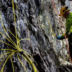 Foto: Orica