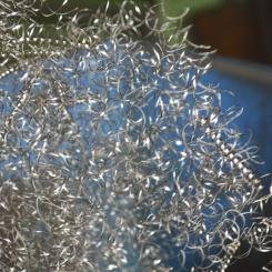 Det framhålls att ”bredden på forskning är mycket stor” med hela 46 nya forskningsprojekt.