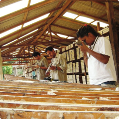 Foto: G Mining Ventures