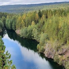Höga halter av kritiska råvaror som sällsynta jordartsmetaller, fosfor och volfram har hittats i gammalt gruvavfall i Bergslagen. Foto: Patrick Casey/SGU