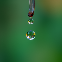 Bakgrunden till rundabordssamtalet är att EU-kommissionen vill revidera vattendirektivet för att främja tillgången till kritiska råvaror. Bild: AI-genererad bild. Inte ett fotografi.
Copyright © Conventus – AI-genererat innehåll. Inget av materialet får reproduceras eller användas i andra sammanhang utan skriftligt tillstånd.