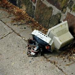 Foto: Rich Anderson/Wikimedia Commons