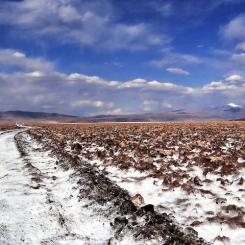 Oexploaterad litiumfyndighet i Argentina. Foto: Rio Tinto