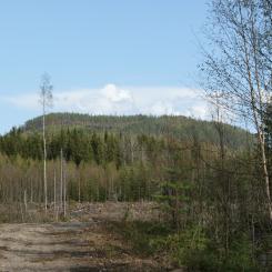 Foto: Svenska Vanadin