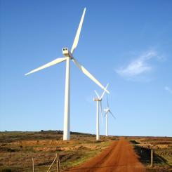 Foto: Warren Rohner/Wikimedia Commons